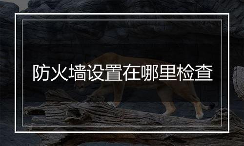 防火墙设置在哪里检查