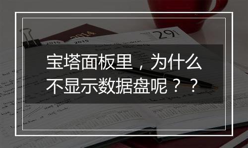 宝塔面板里,为什么不显示数据盘呢??