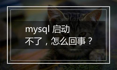 mysql 启动不了,怎么回事?