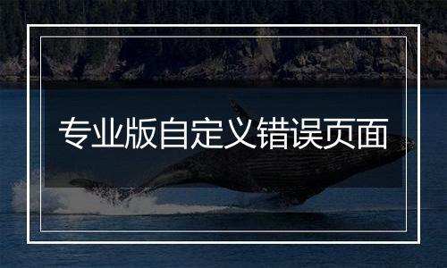 专业版自定义错误页面