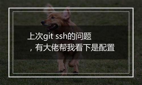 上次git ssh的问题,有大佬帮我看下是配置