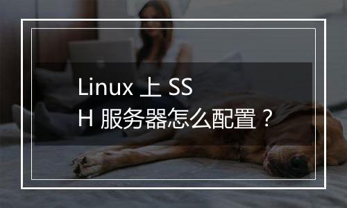 Linux 上 SSH 服务器怎么配置?