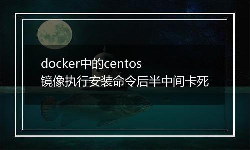 docker中的centos镜像执行安装命令后半中间卡死