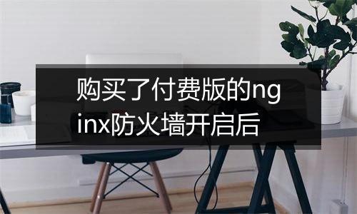 购买了付费版的nginx防火墙开启后