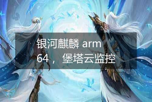 银河麒麟 arm 64, 堡塔云监控