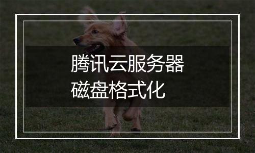 腾讯云服务器磁盘格式化