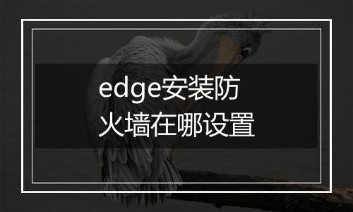 edge安装防火墙在哪设置