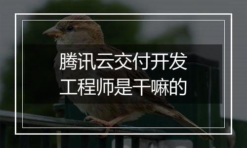 腾讯云交付开发工程师是干嘛的