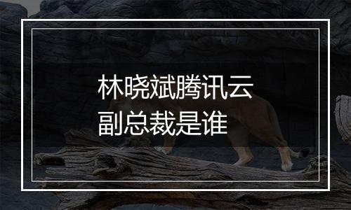 林晓斌腾讯云副总裁是谁