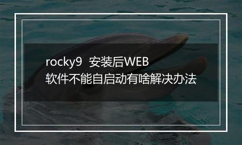 rocky9 安装后WEB软件不能自启动有啥解决办法