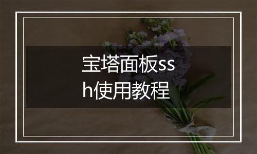 宝塔面板ssh使用教程