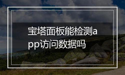 宝塔面板能检测app访问数据吗