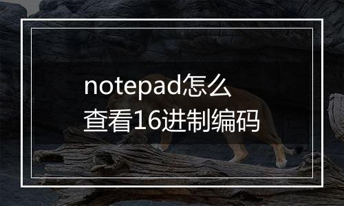 notepad怎么查看16进制编码