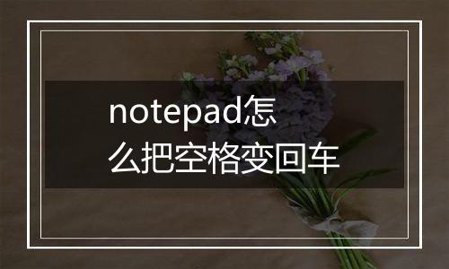 notepad怎么把空格变回车