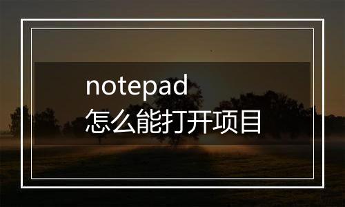 notepad怎么能打开项目