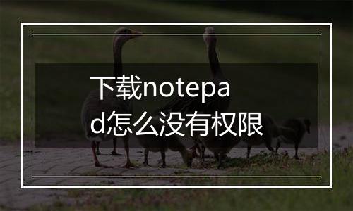 下载notepad怎么没有权限