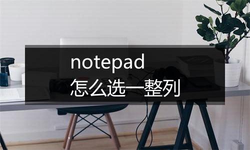 notepad怎么选一整列