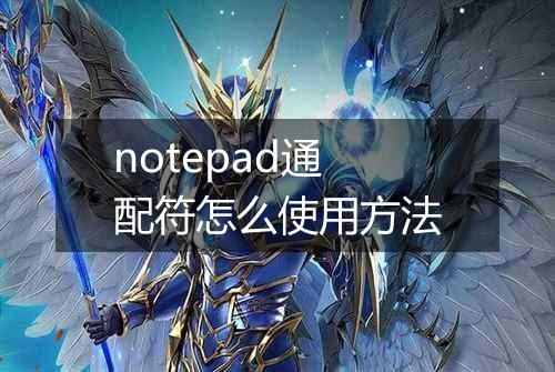 notepad通配符怎么使用方法