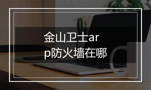 金山卫士arp防火墙在哪