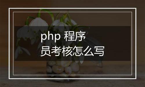 php 程序员考核怎么写