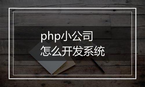 php小公司怎么开发系统
