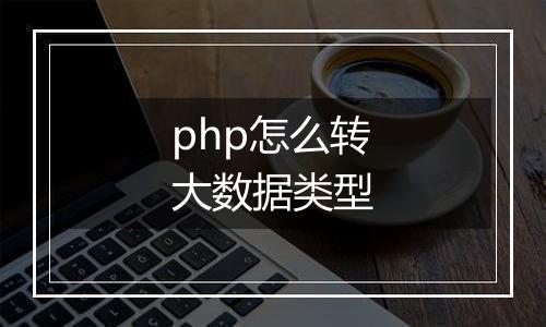 php怎么转大数据类型