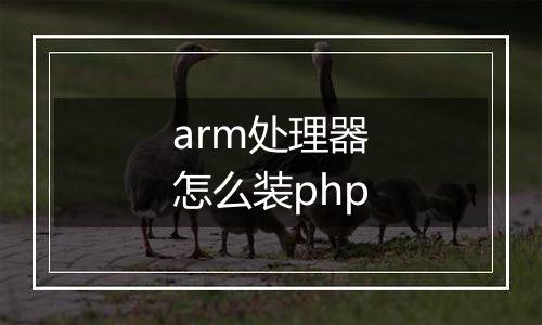 arm处理器怎么装php