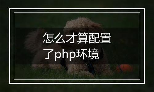 怎么才算配置了php环境