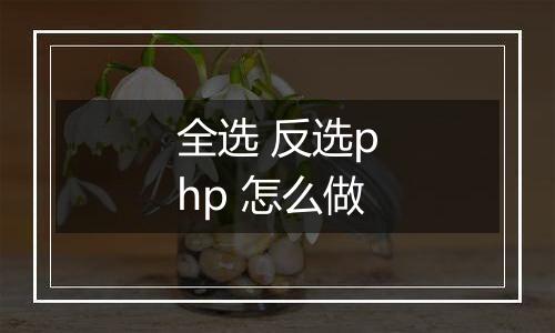 全选 反选php 怎么做