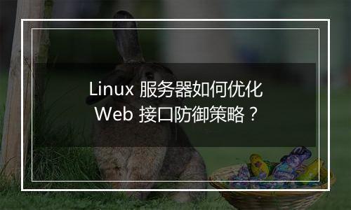 Linux 服务器如何优化 Web 接口防御策略?
