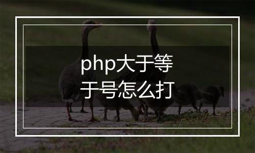 php大于等于号怎么打