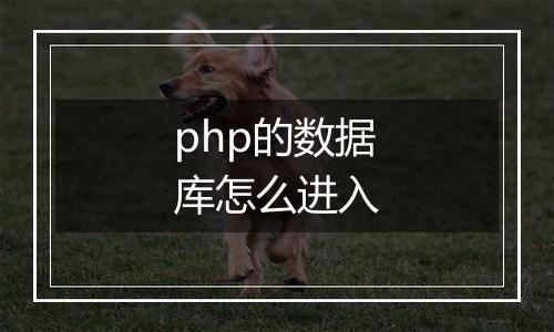 php的数据库怎么进入