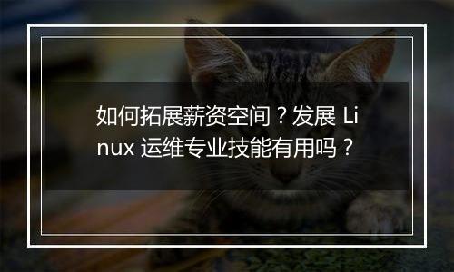 如何拓展薪资空间？发展 Linux 运维专业技能有用吗？