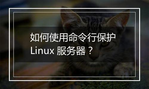 如何使用命令行保护 Linux 服务器？