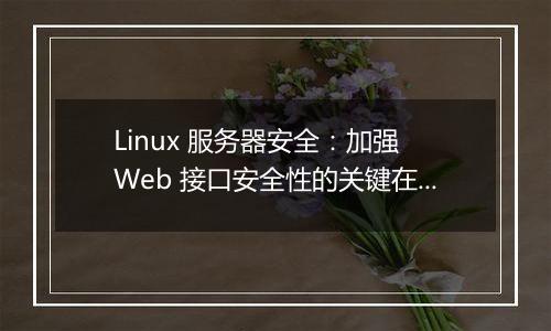 Linux 服务器安全:加强 Web 接口安全性的关键在哪?