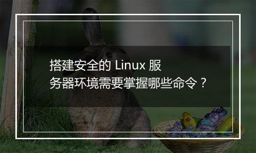 搭建安全的 Linux 服务器环境需要掌握哪些命令?
