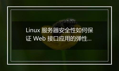 Linux 服务器安全性如何保证 Web 接口应用的弹性?