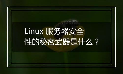 Linux 服务器安全性的秘密武器是什么？