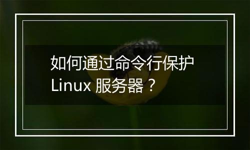 如何通过命令行保护 Linux 服务器?
