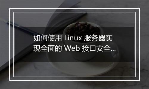 如何使用 Linux 服务器实现全面的 Web 接口安全性?