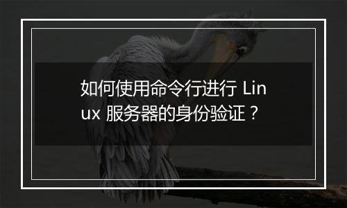 如何使用命令行进行 Linux 服务器的身份验证？