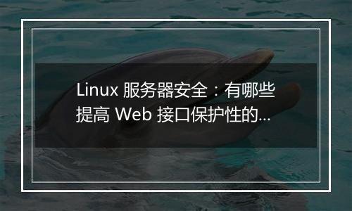 Linux 服务器安全:有哪些提高 Web 接口保护性的先进技术?