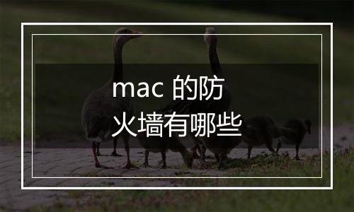 mac 的防火墙有哪些