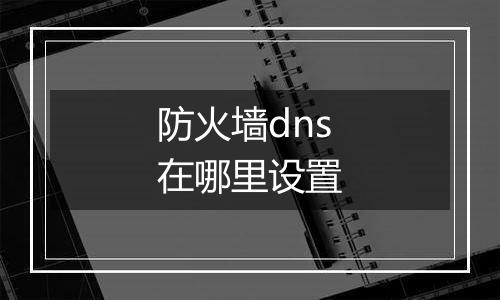 防火墙dns在哪里设置