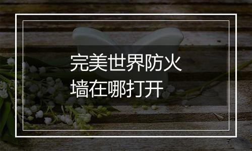 完美世界防火墙在哪打开