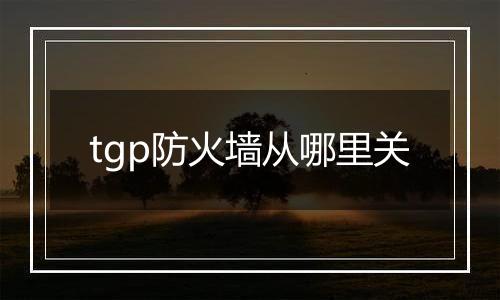 tgp防火墙从哪里关
