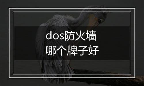 dos防火墙哪个牌子好