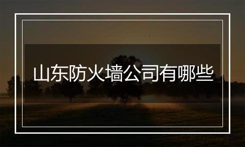 山东防火墙公司有哪些