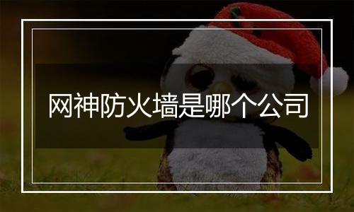网神防火墙是哪个公司