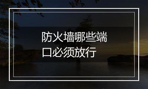 防火墙哪些端口必须放行